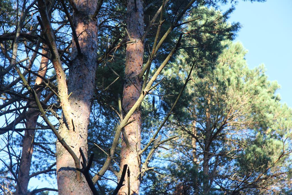 Tehumardi Camping Salme Buitenkant foto